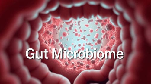 Hidden Links: How Gut Microbiome Triggers Chronic Inflammation in Disease 1 Gut Microbiome