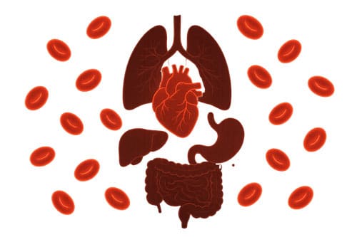 Bloody Surgery: Hospital Readmissions Blamed On Post-Op Anemia In Patients Undergoing Major Surgery 2 Bloody Surgery