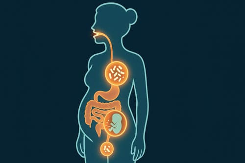 Microbiome During Pregnancy: New Links to Preterm Birth Prevention 2 Microbiome During Pregnancy