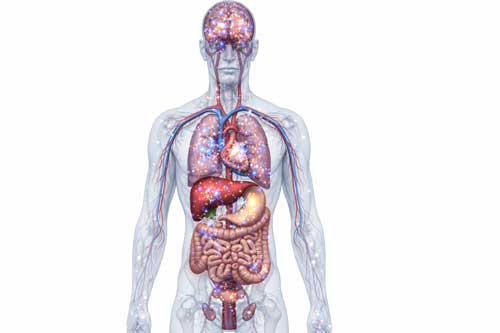 Microplastics In Coffee
