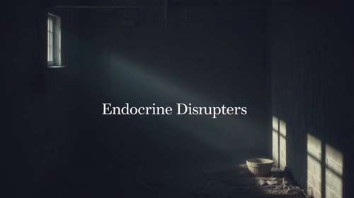 Endocrine Disruptors
