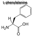 phenyalanine