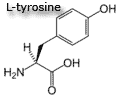 tyrosine