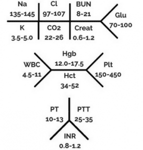 Normal Lab Values In Adults