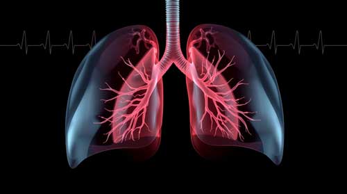 Pulmonology