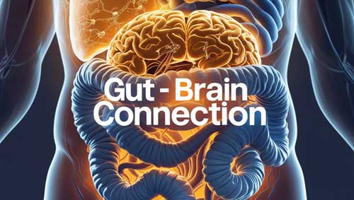 Gut-Brain Axis And Mental Health