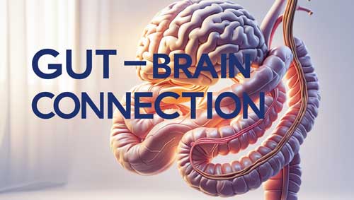 Gut-Brain Axis And Mental Health