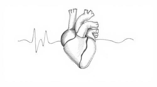 Heart Ablation